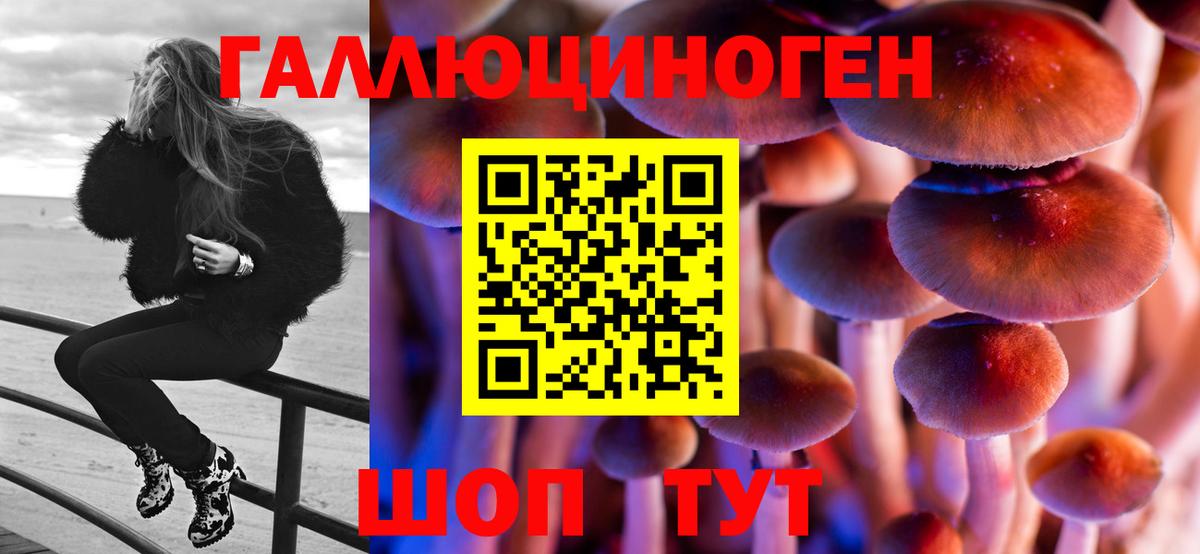 Псилоцибиновые грибы Cubensis Советский