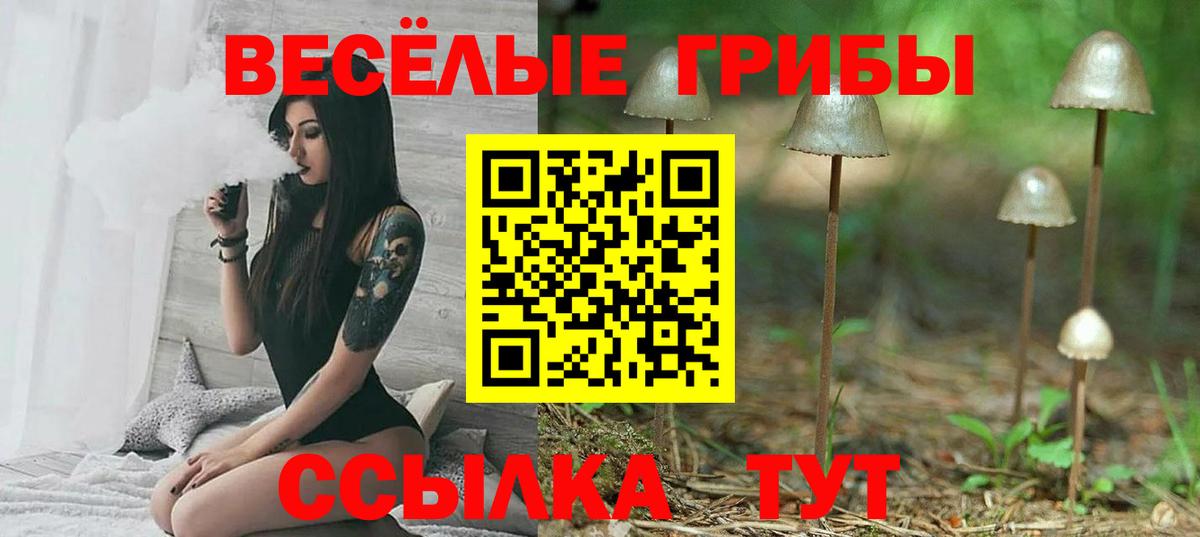 Псилоцибиновые грибы ЛСД  Псилоцибиновые грибы прущие грибы  Советский  Вход с VPN 